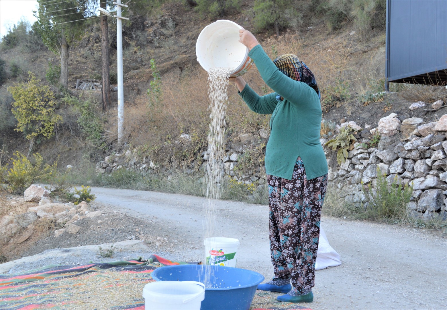 Çandir’da Hasat Zamani (2) (Large)