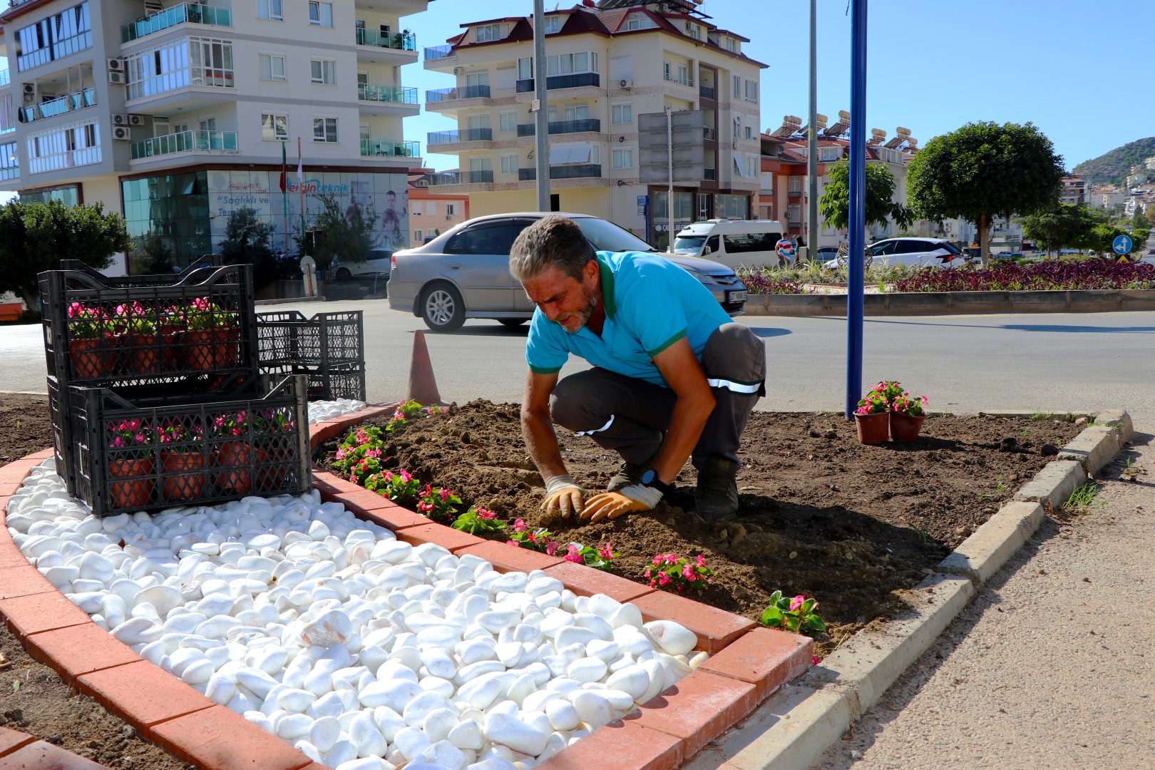 Çiçek Dikimi (2)