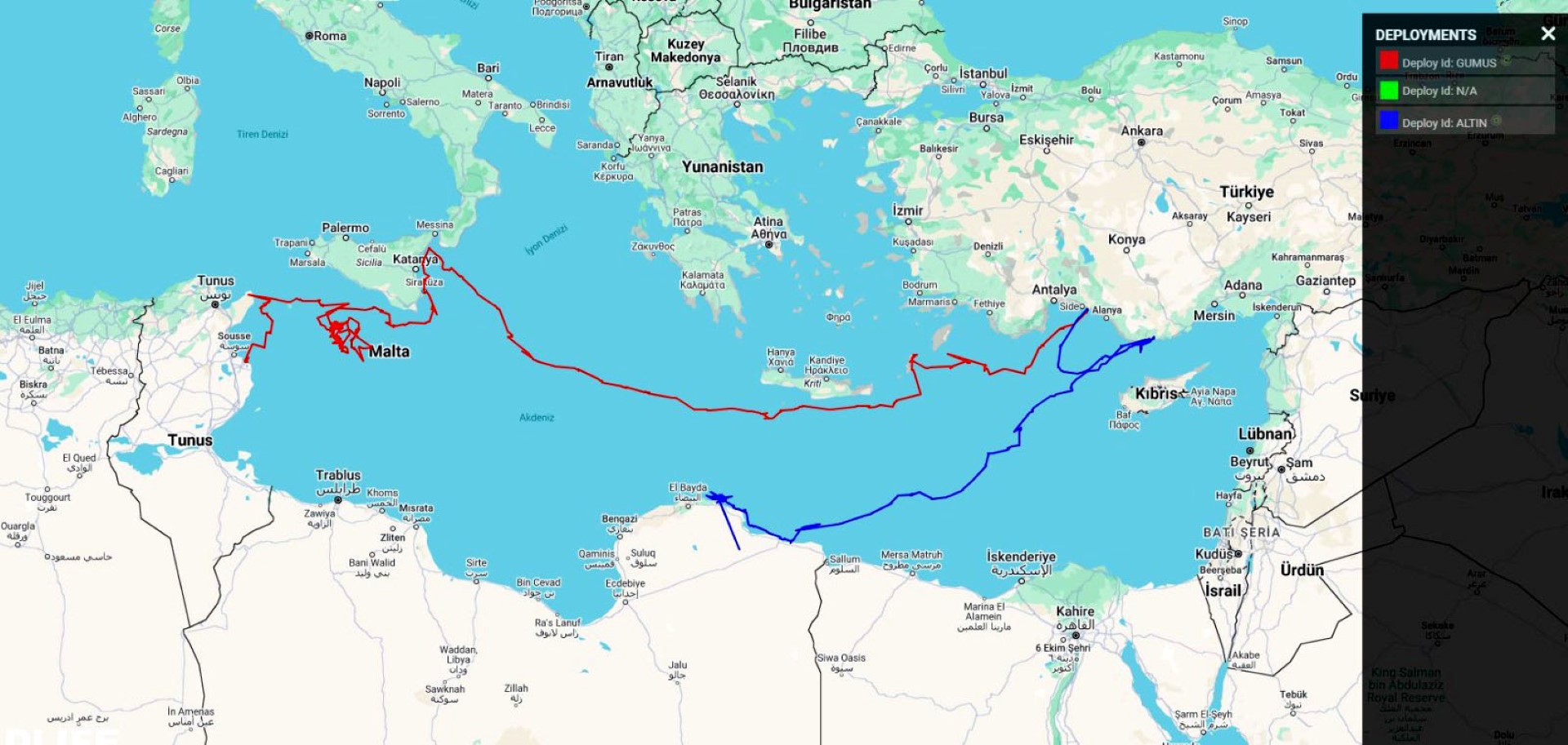 Deniz Kaplumbağası Yolculuğu (1)