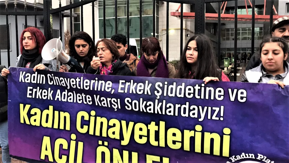 Kadın Cinayetleri (1)