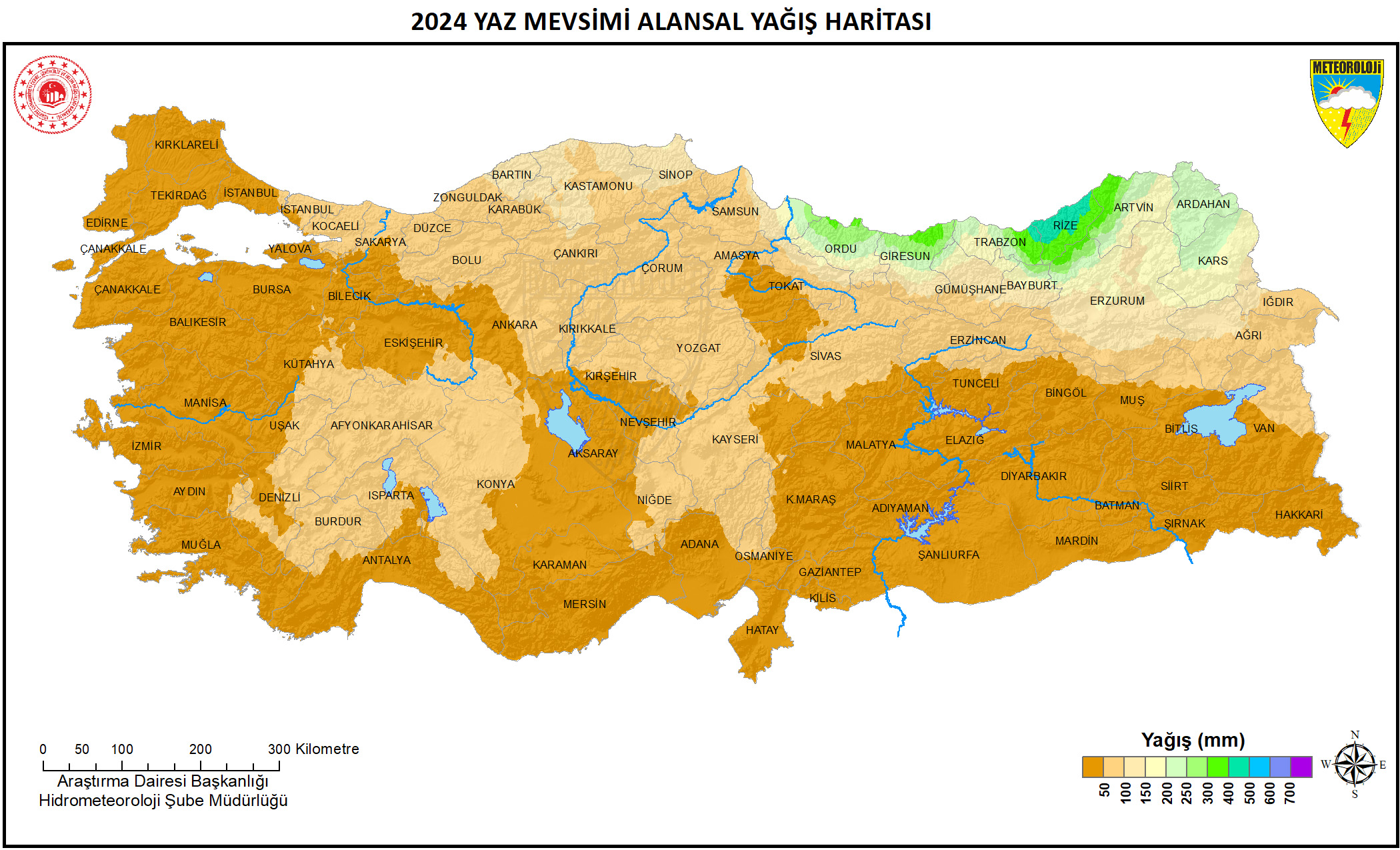 Kurak Geçen Yaz (2)