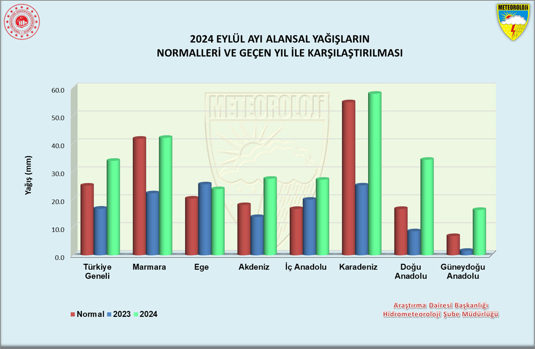 Kurak Geçen Yaz (3)