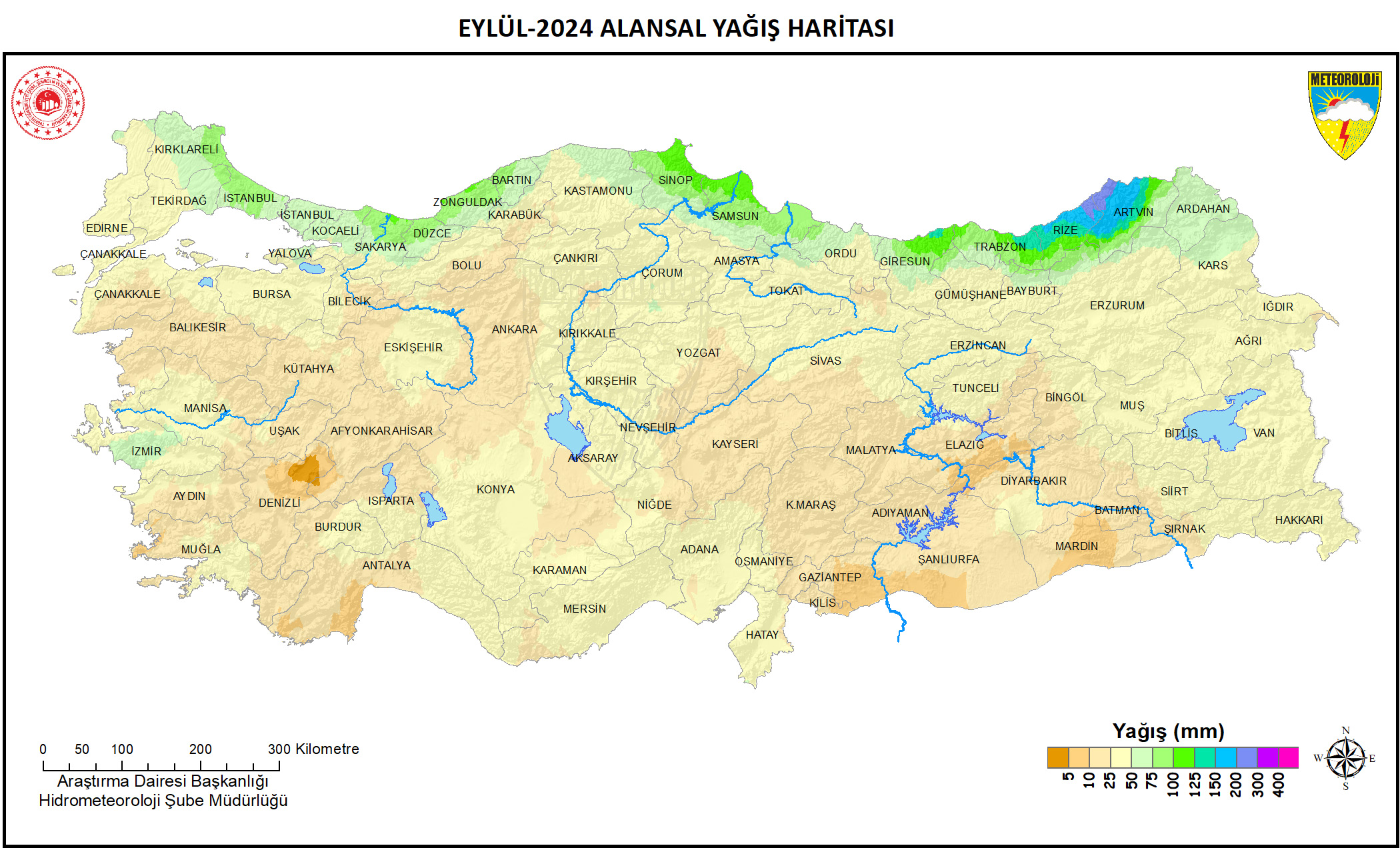 Kurak Geçen Yaz (4)