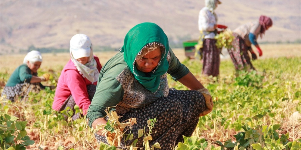 Tarım Işçileri (3)