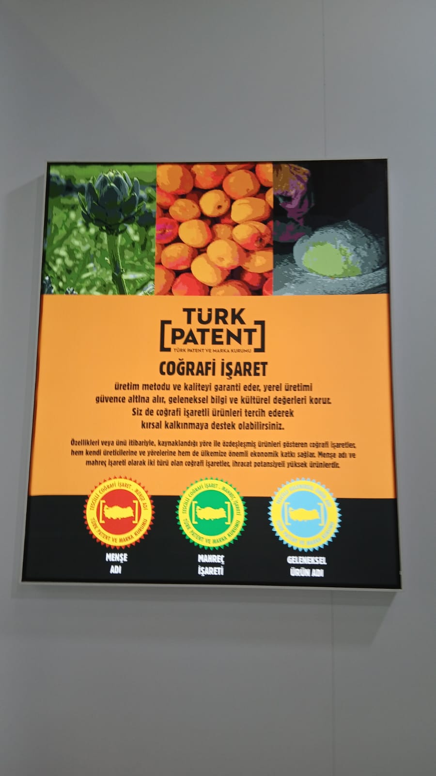 Türk Patent Ve Marka (4)