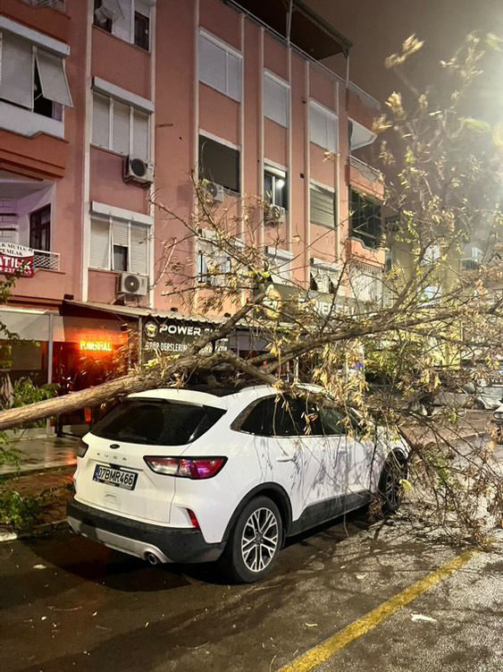 Antalyada Firtina Agaclari Devirdi Ser (2)