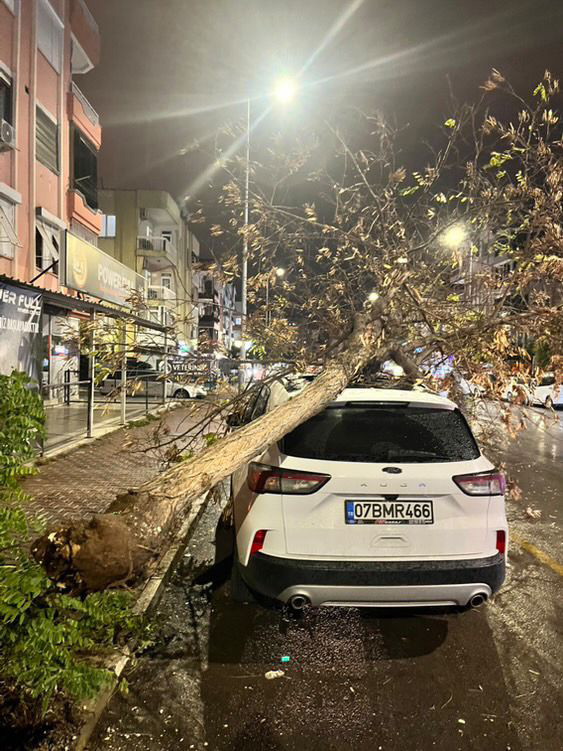 Antalyada Firtina Agaclari Devirdi Ser (3)