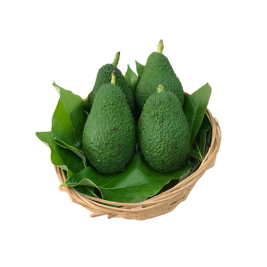 Avokado