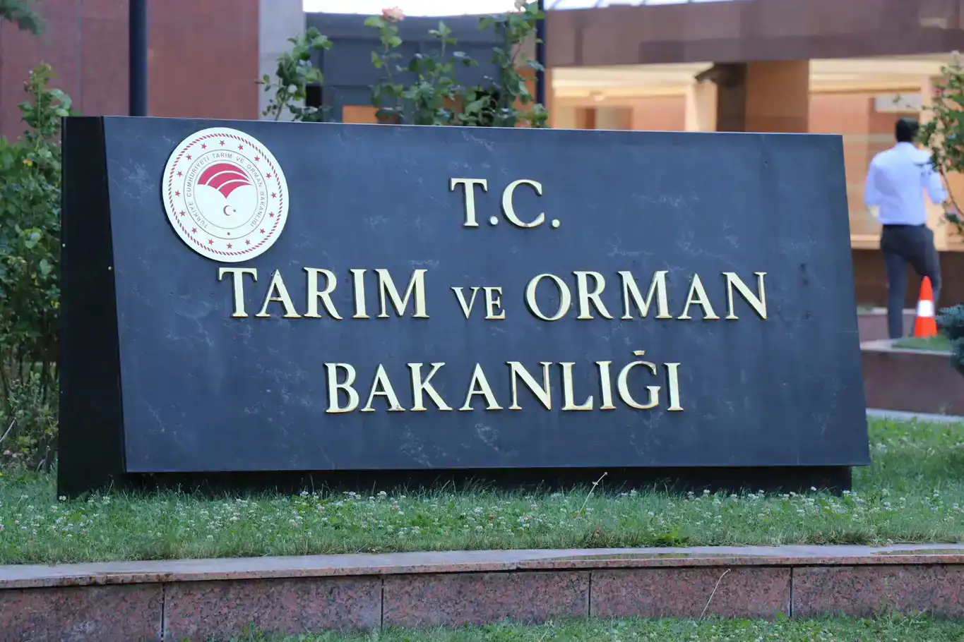 Tarimbakanlik