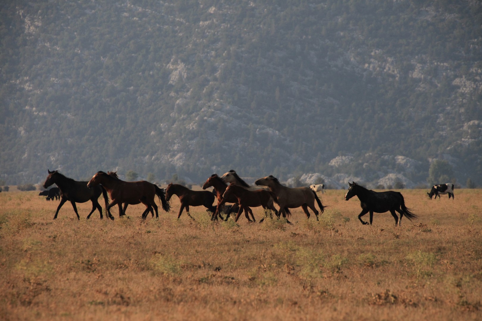 Turizmn Köyü (2)