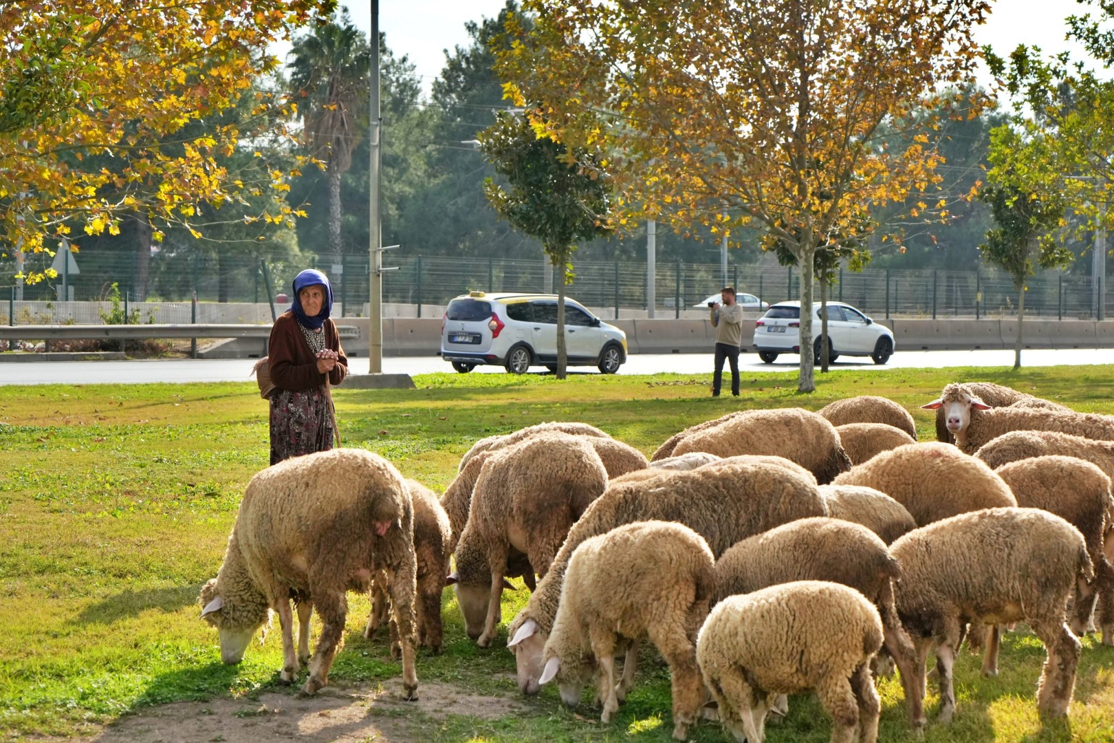 40 Yıldır Hayvan Bakıyor (1) (Large)