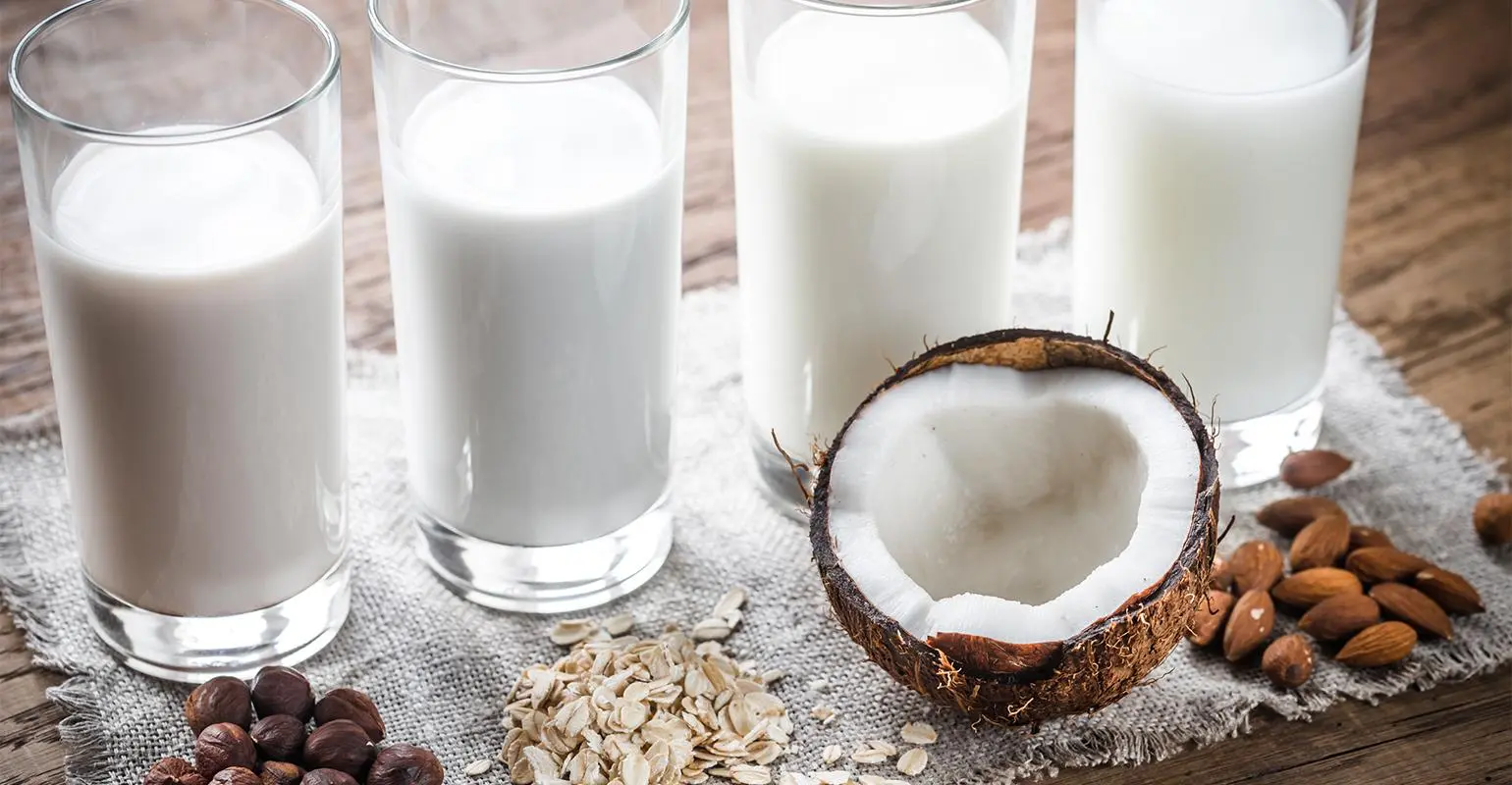 A Shift Toward Plant Based Milk And Milk Products