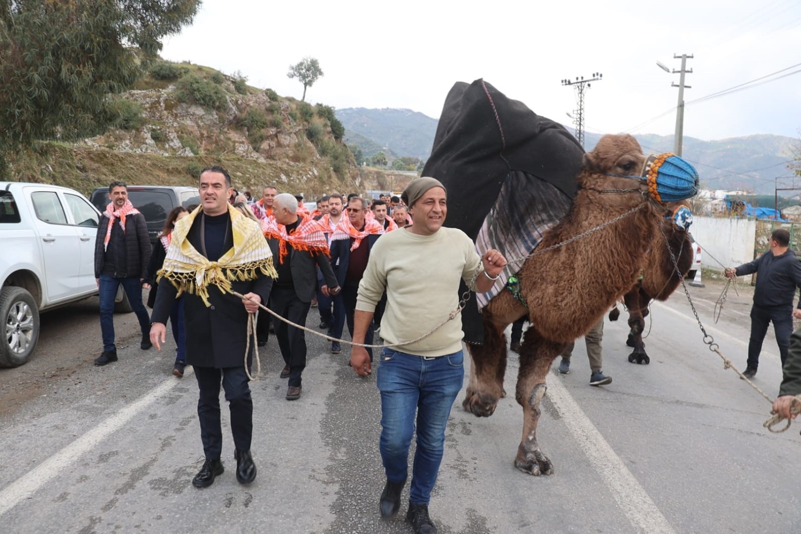 Deve Güreşleri (5)