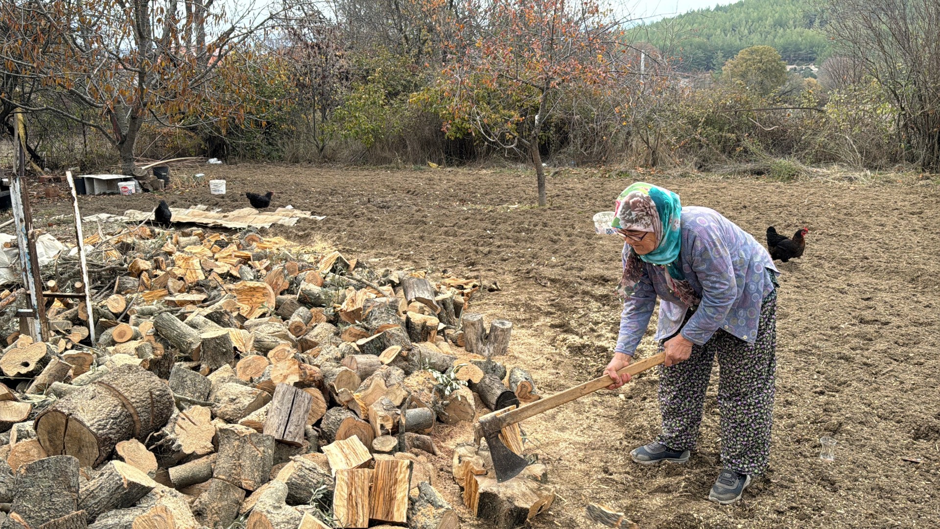 Günay Teyze (2)