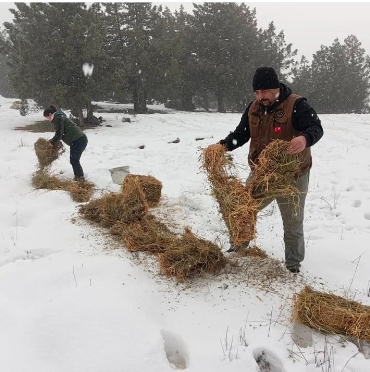 Hayvanları Unutmadılar (2)