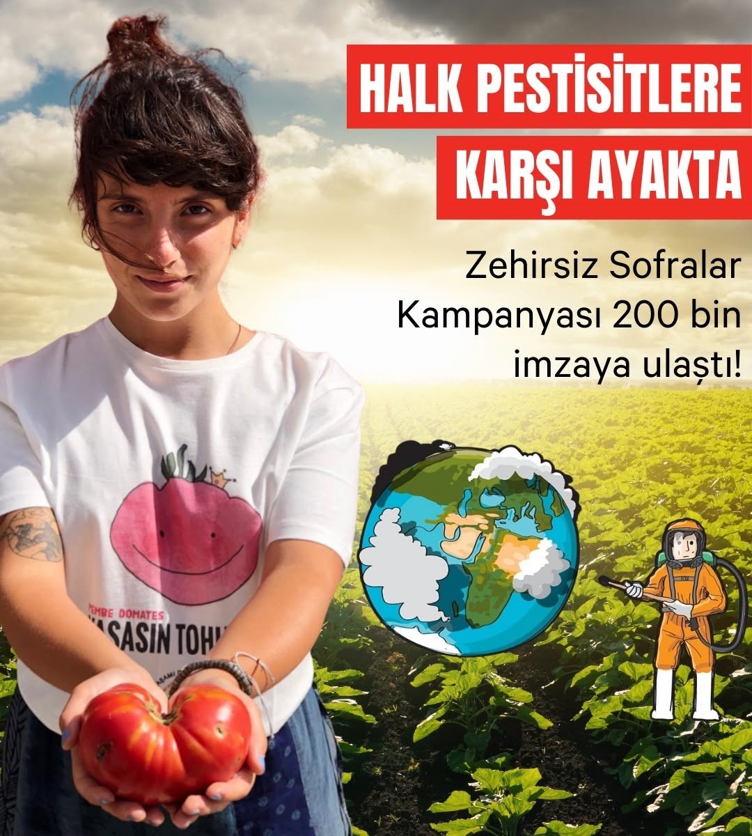 Pestit Kullanımı (1)-1