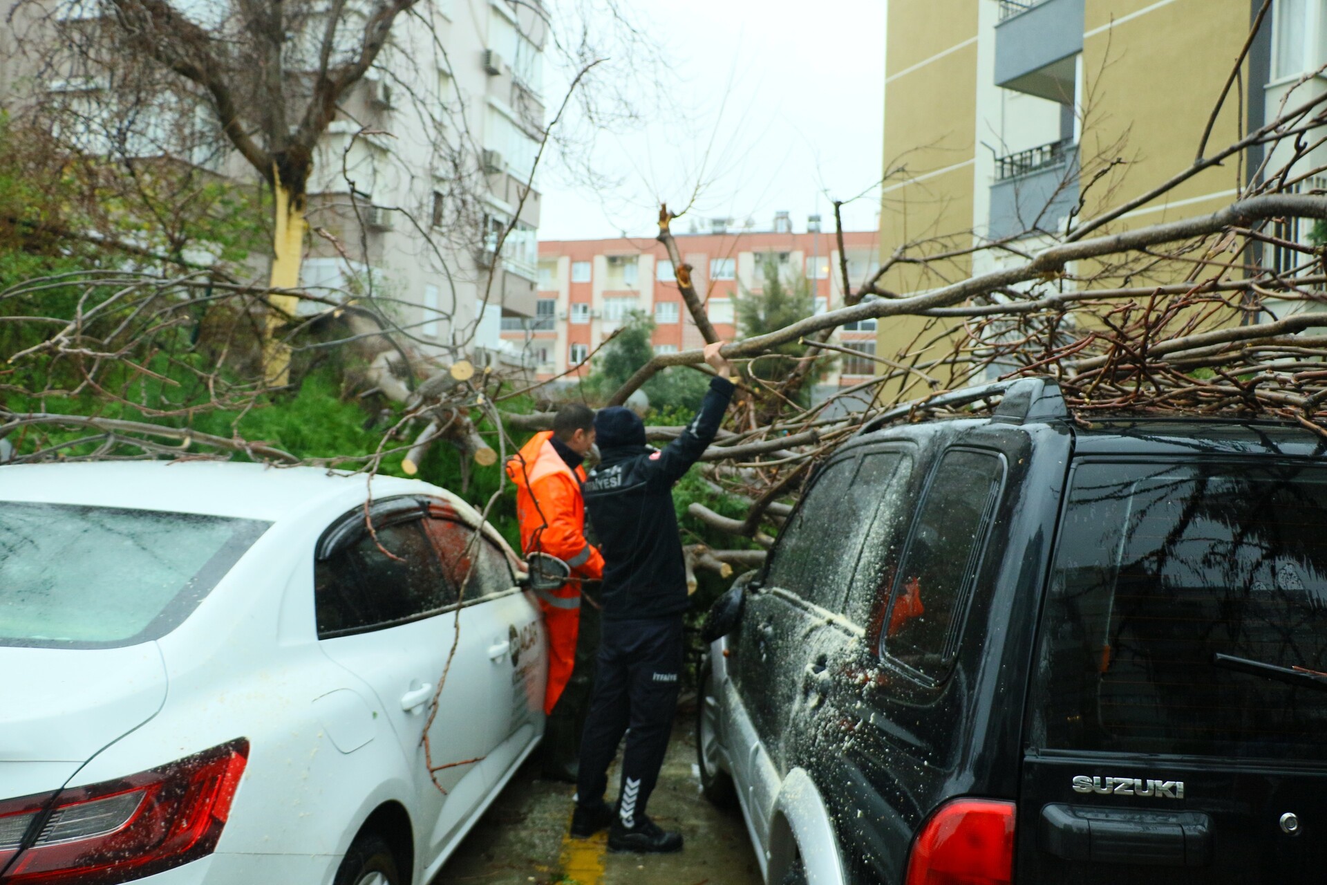 Rüzgar Yıkıp Geçti (4)