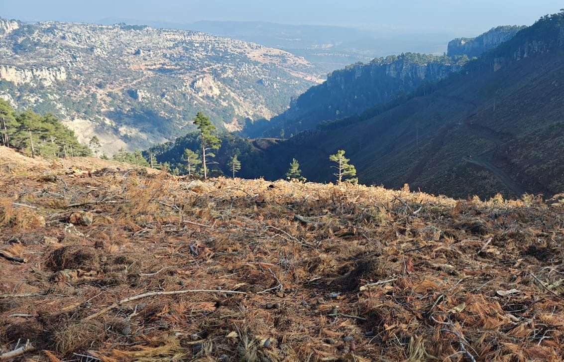 Çalışma Başladı (1)-1