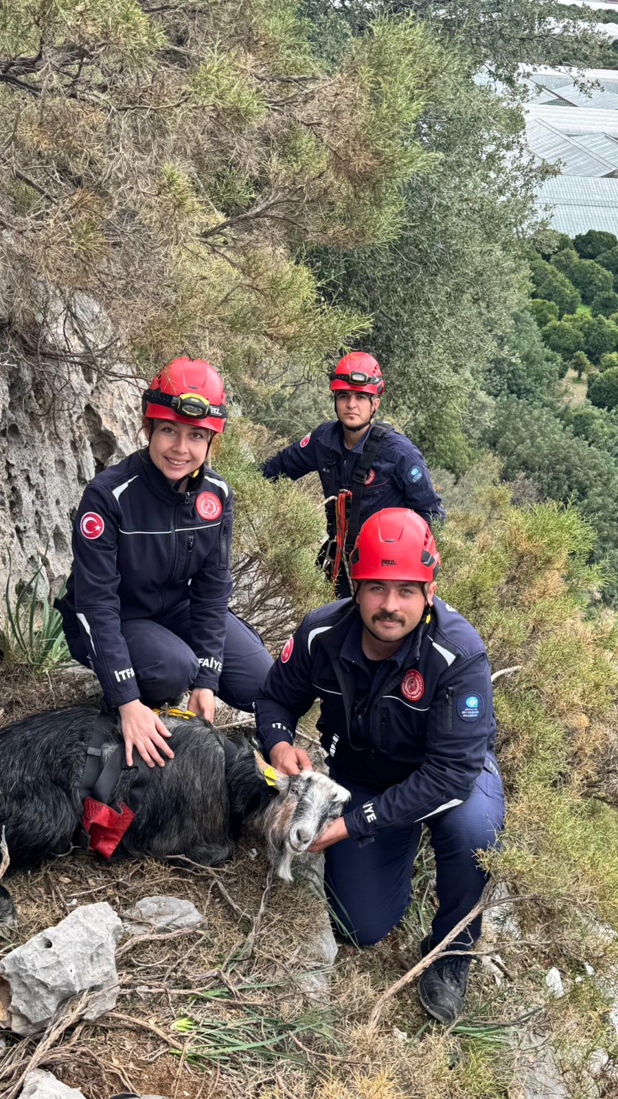 Demre Keçi Kurtarma (1)