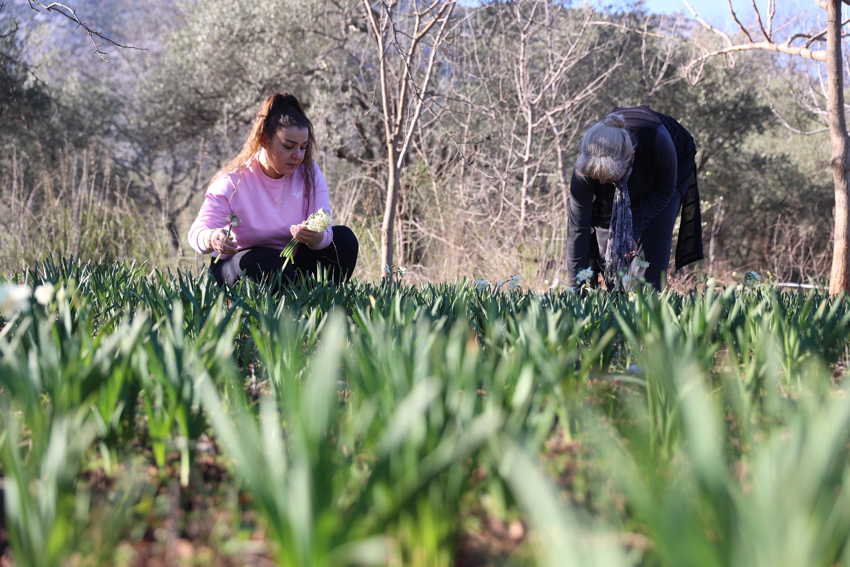 Kadın Üreticilere Mis Kokulu Destekler (1)