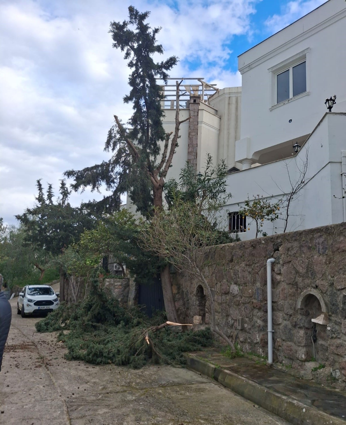 Agac Budarken Hayatini Kaybetti (2)