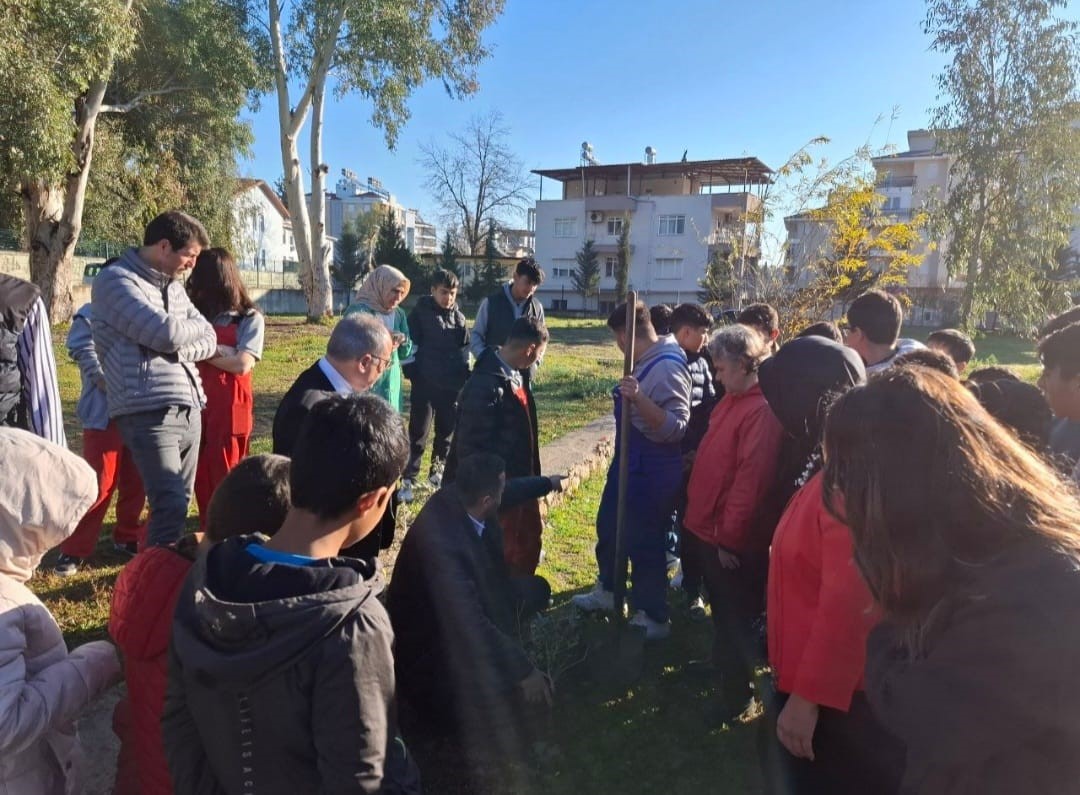 Aksu'da Öğrenciler Zeytin Fidanı Dikti (2)