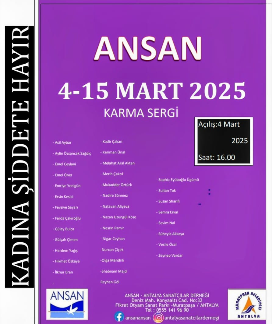 Ansan Kadına Şiddete Hayır (2)