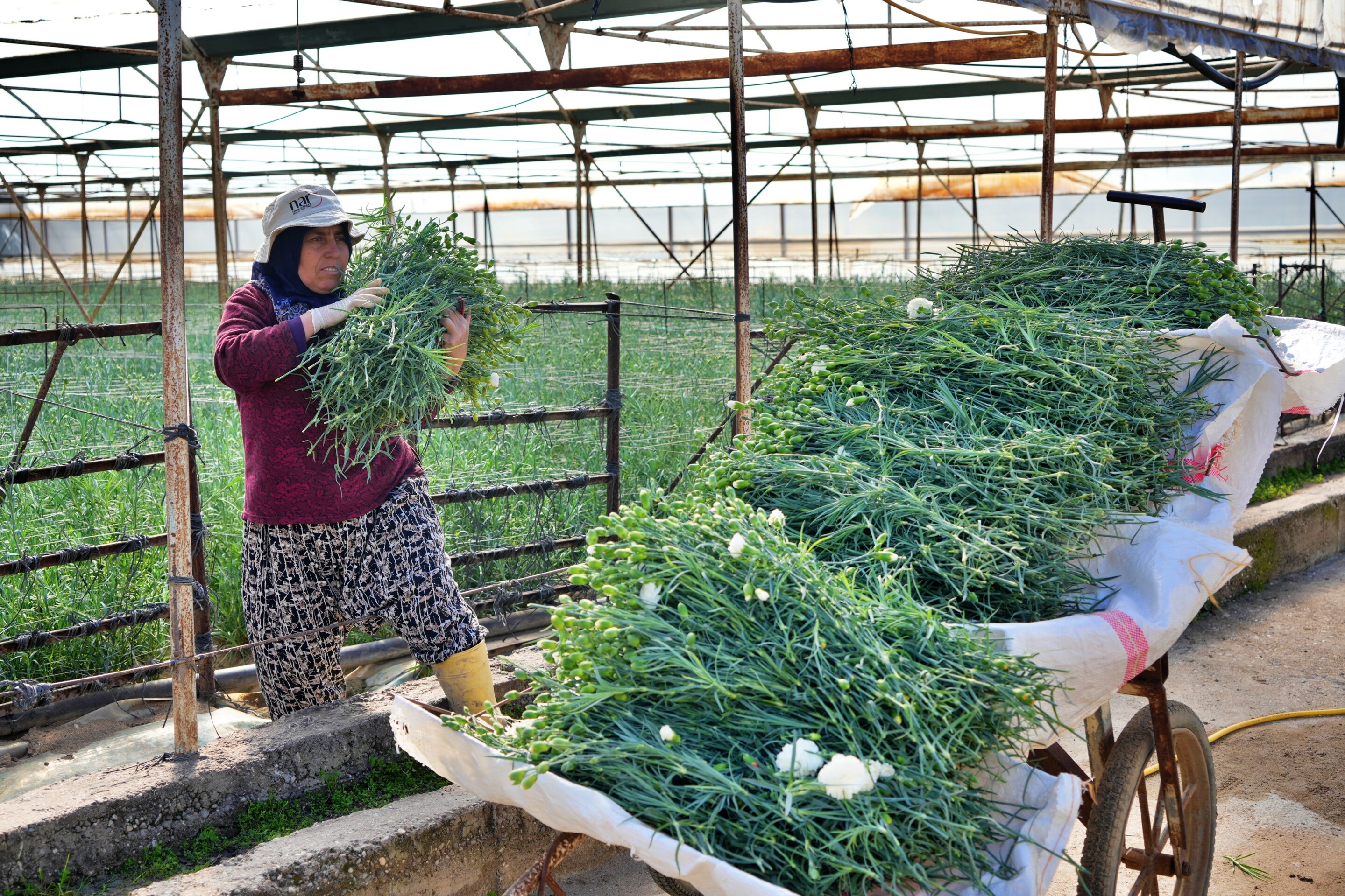 Antalya’da 10 Milyon Dolarlık Beklenti (6)