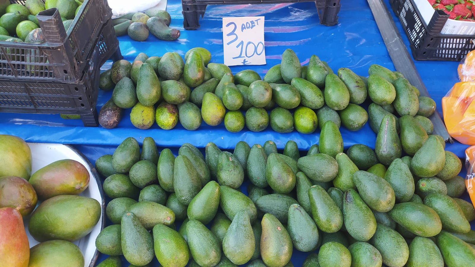 Avokado (3)