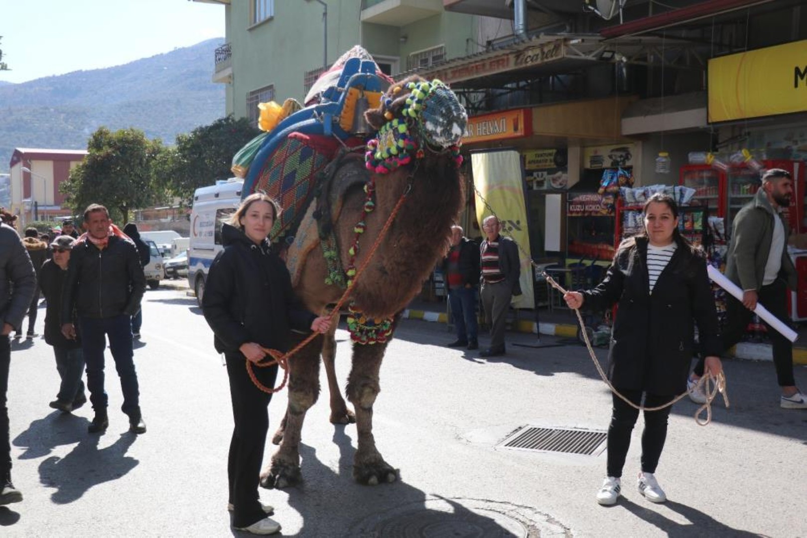 Bozdogan Deve Guresi Festivali (2)