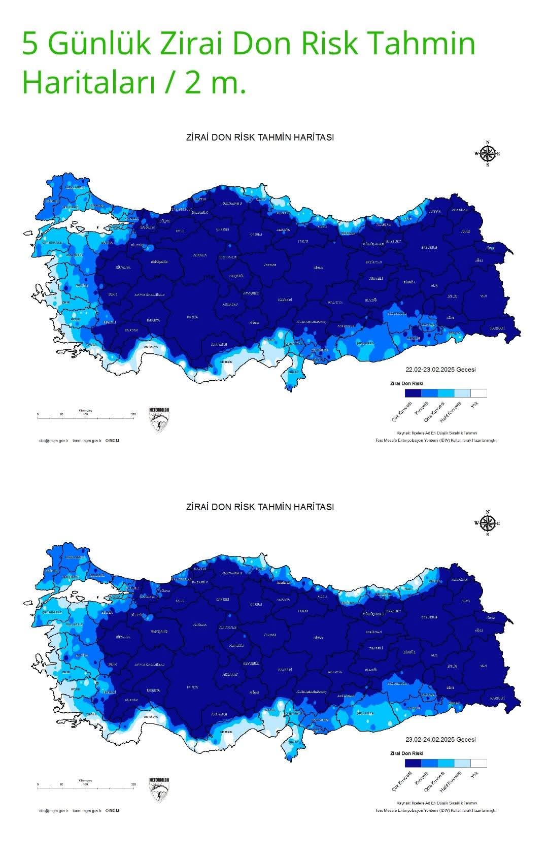 Çiçekler Buz Tuttu (5)