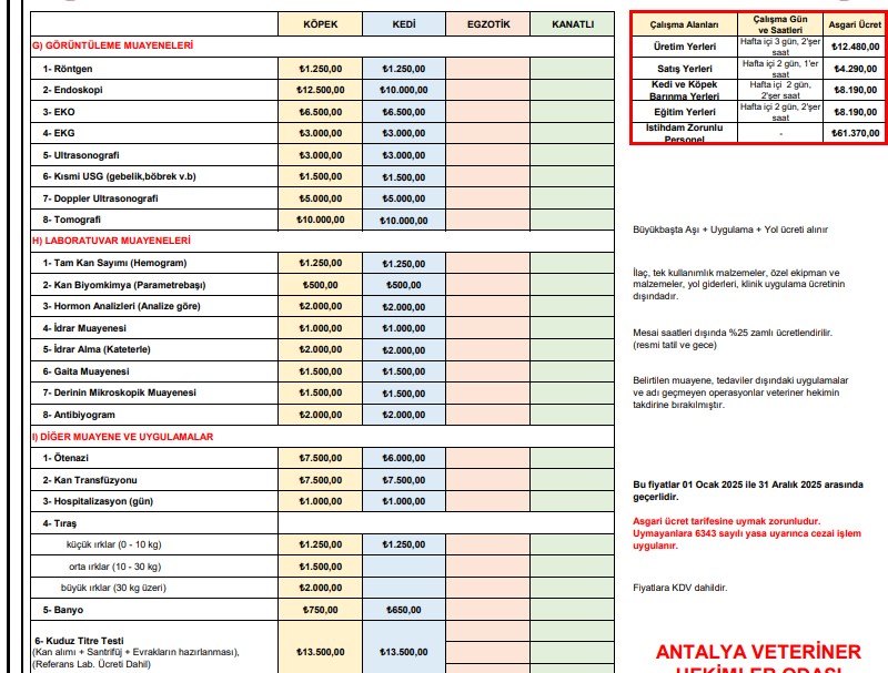 Hayvan Sahiplenmek Eziyet Oldu… Fiyatları Görenler Inanamadı (3)