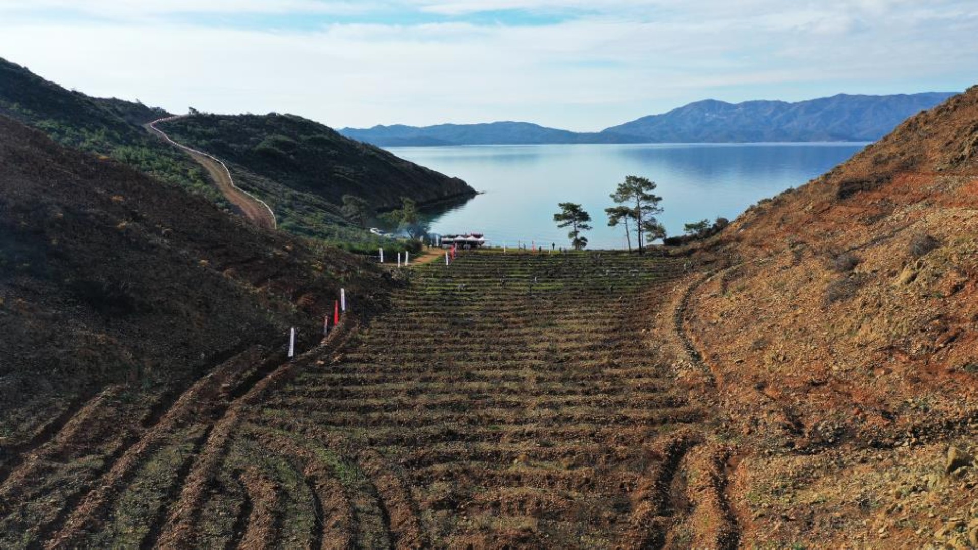 Marmaris Golge Koyunda Fidan Dikimi (5)