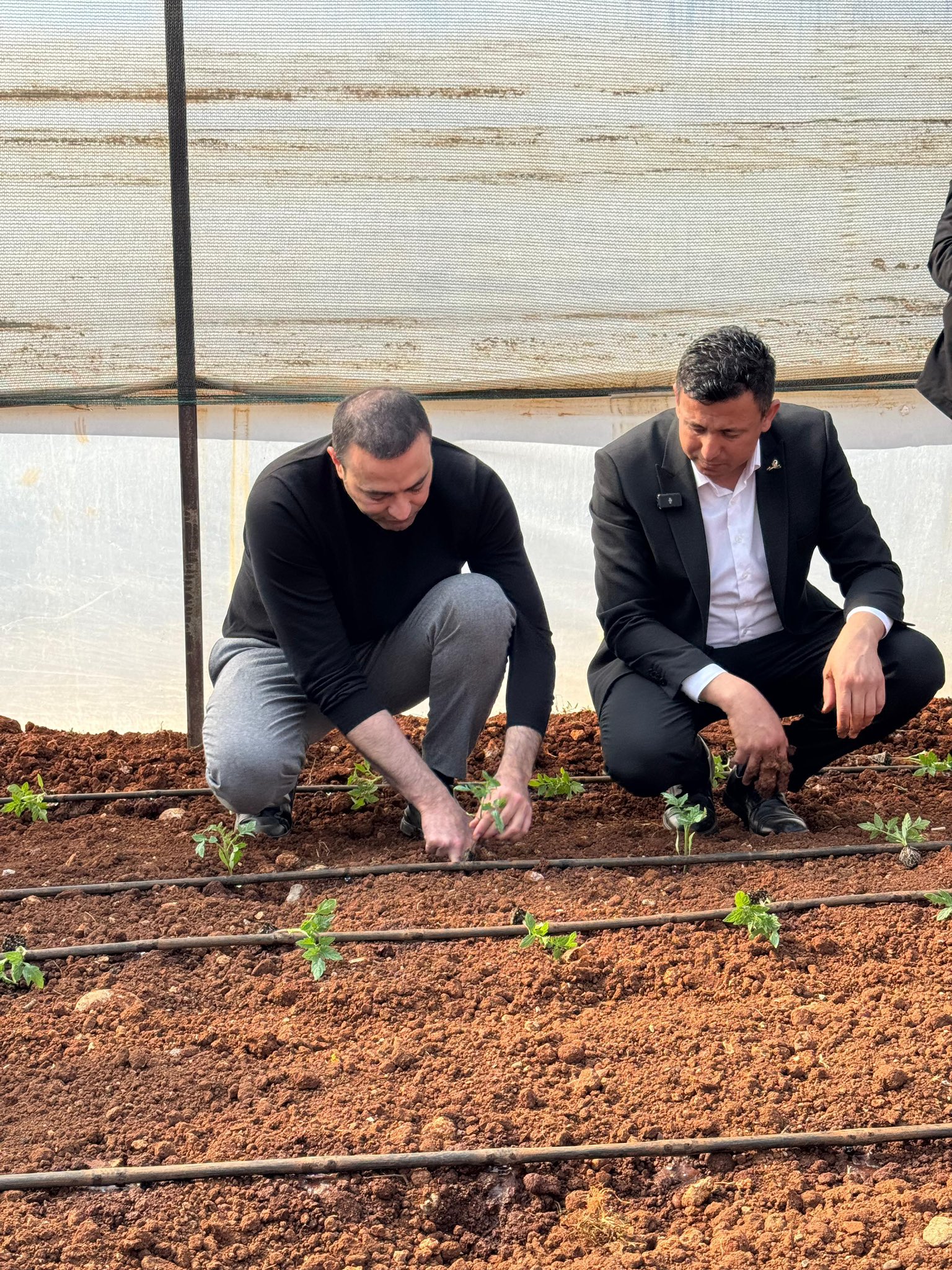 Milletvekili Aykut Kaya Tarlaya Gitti Gördüklerinden Sonra Bakanlığa Seslendi (4)