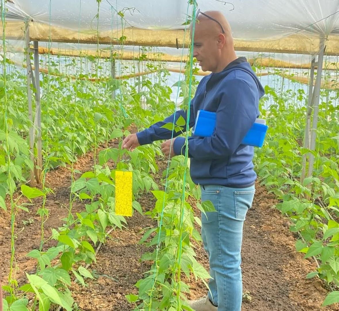 Üreticilere Bitki Sağlığı Eğitimi Verildi (2)