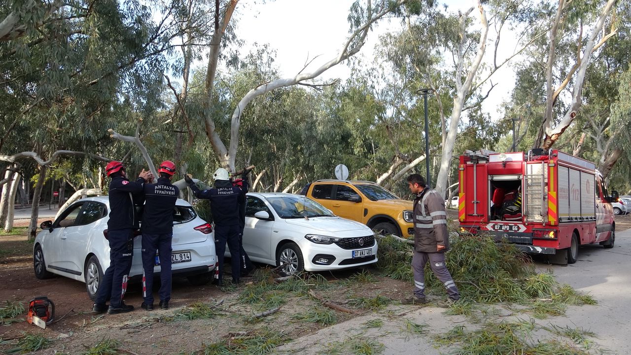 Antalyada 2 Aracin Uzerine Agac Devrildi (2)