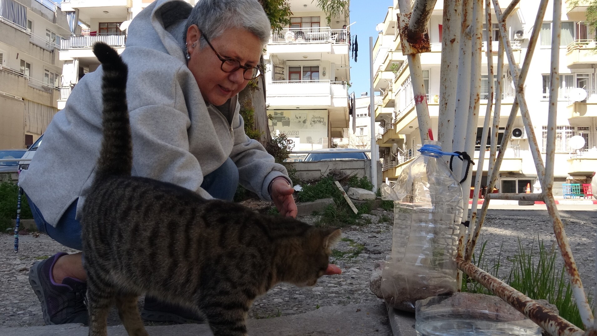 Antalya'da 'Kayıp Kara Kediler' Bilmecesi (4)