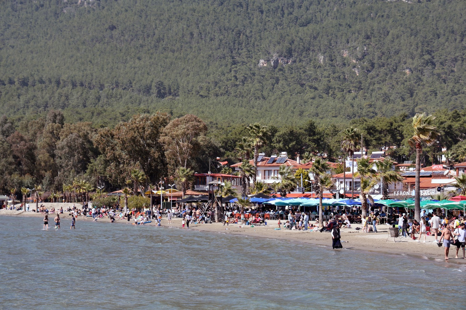 Deniz (Large)