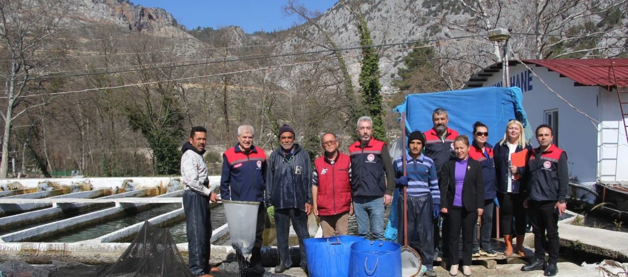 Isparta’da Alabalık Sağımı Tamamlanıyor 110 Milyon Yavru Üretildi (1)