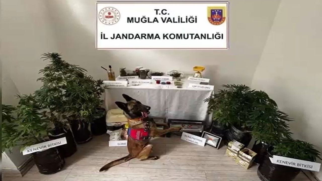 Mugla Operasyon (2)