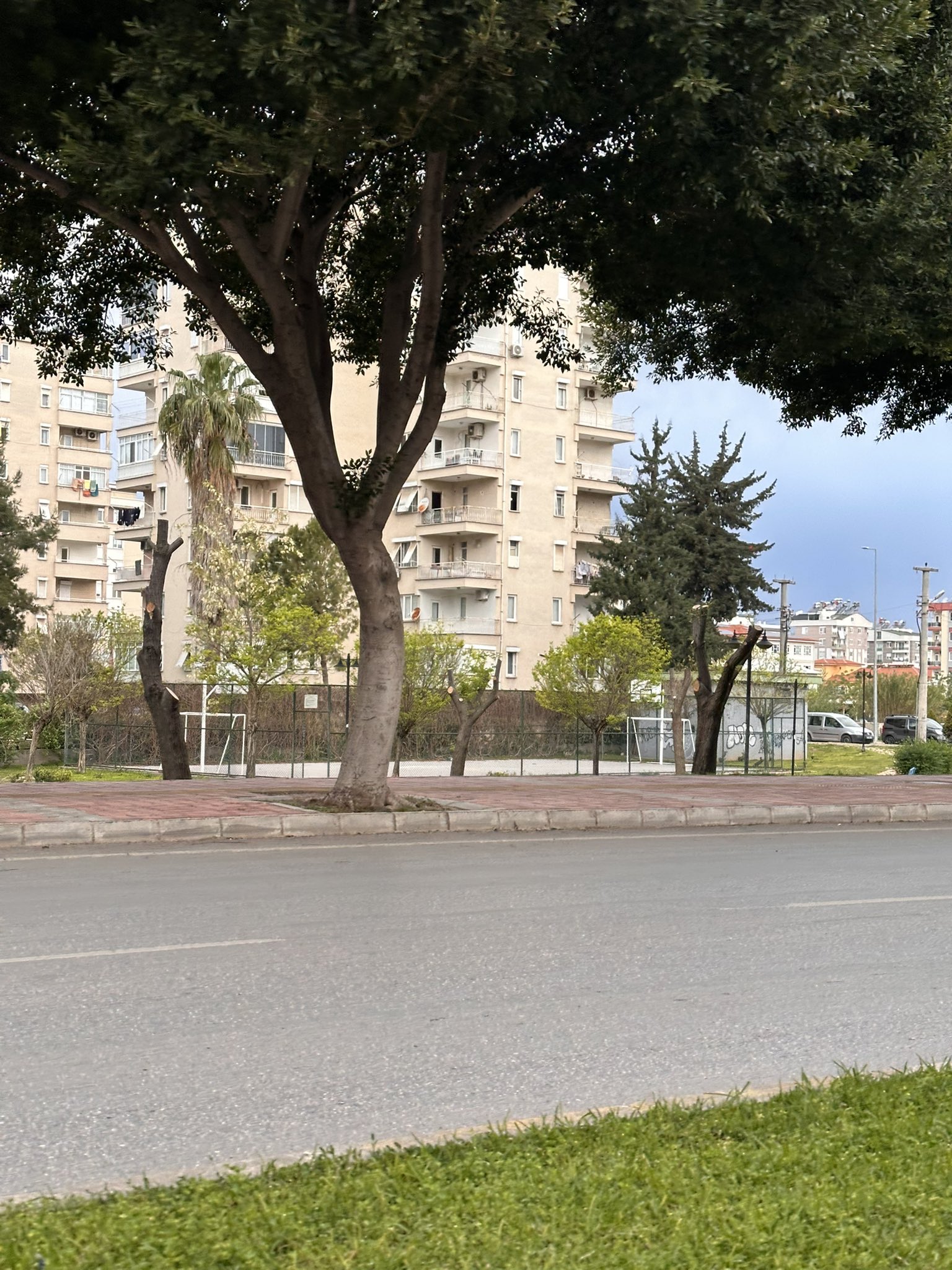 Budamaya Tepki Yağdı (1)