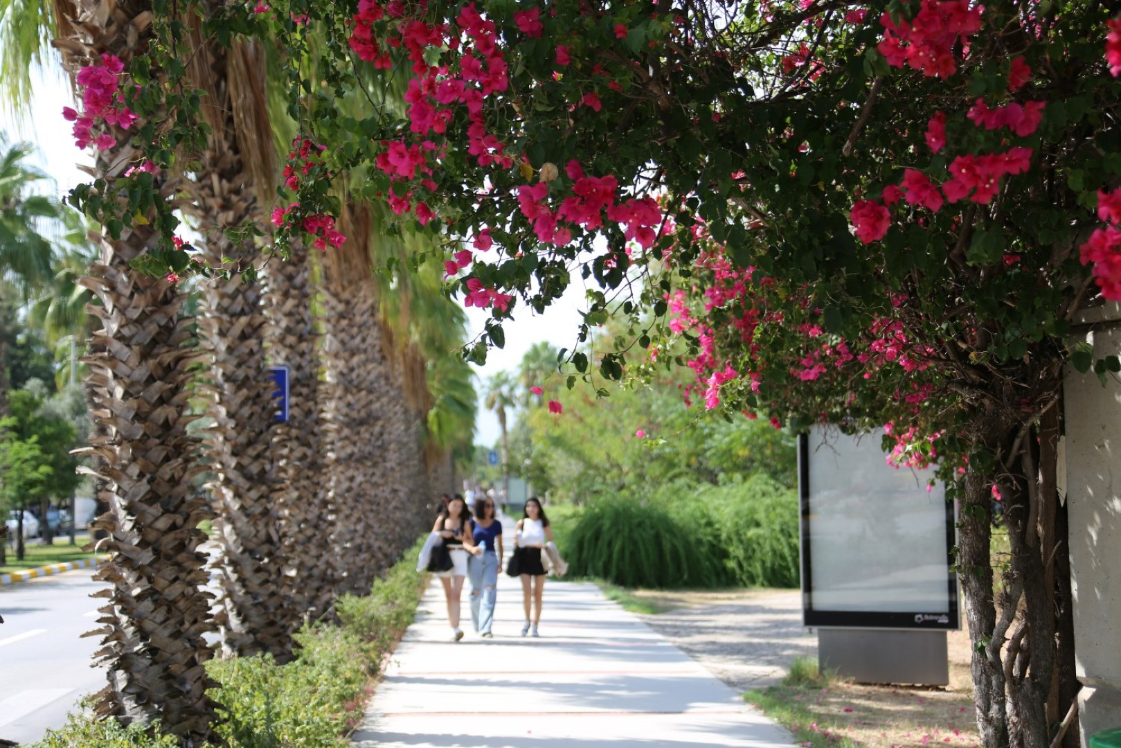 Akdeniz Üniversitesi Çevre Hizmet Ödülleri Açıklandı (2) (Large)