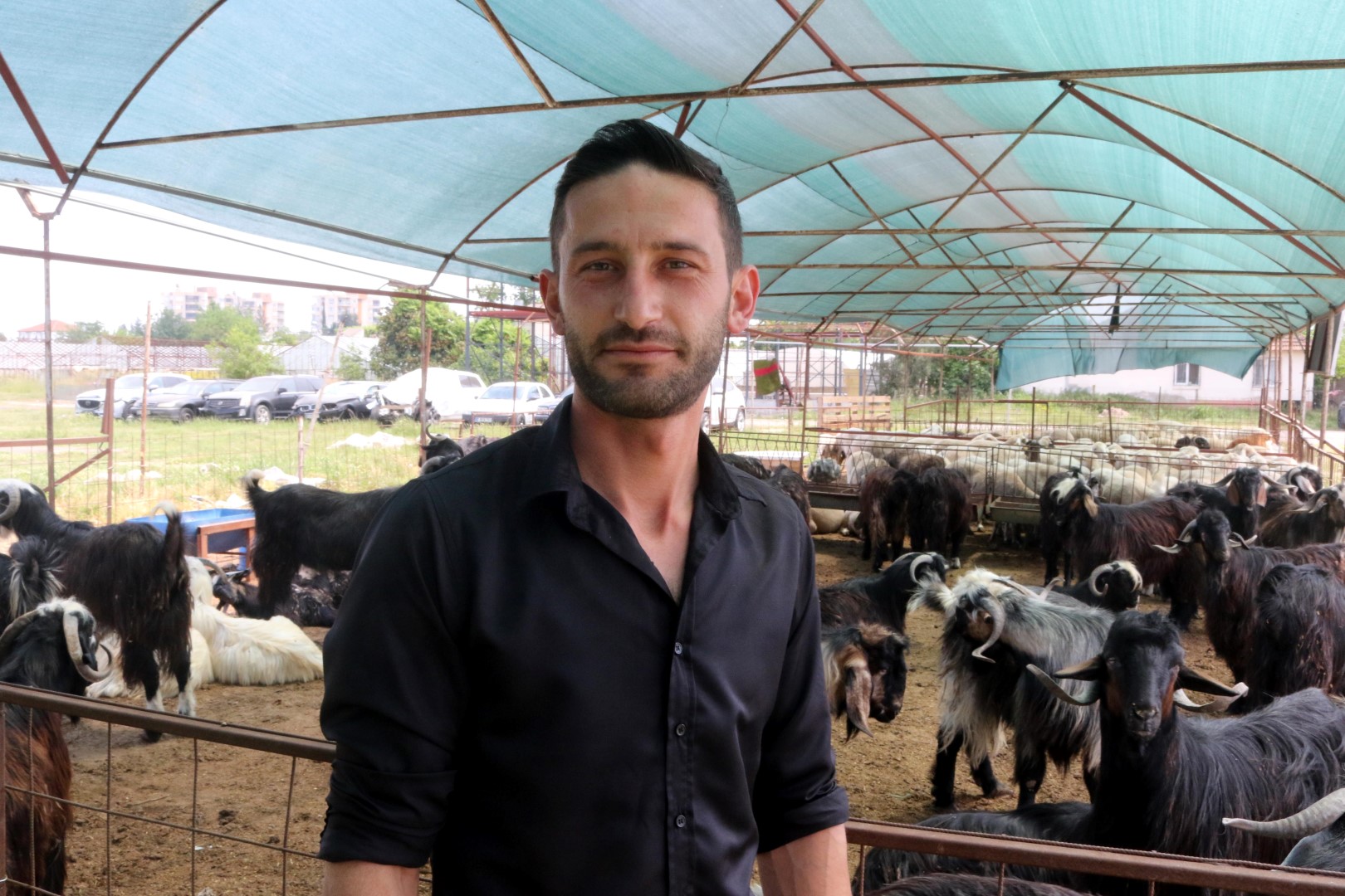 Antalyada Kurban Pazarlarinda Hareketl 715127 211573 (Large)