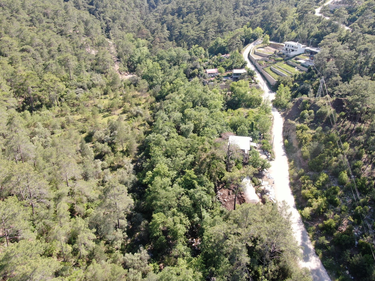 Antalya'da Yeni Alarm! Çok Ciddi Tehdit Altında (6) (Large)