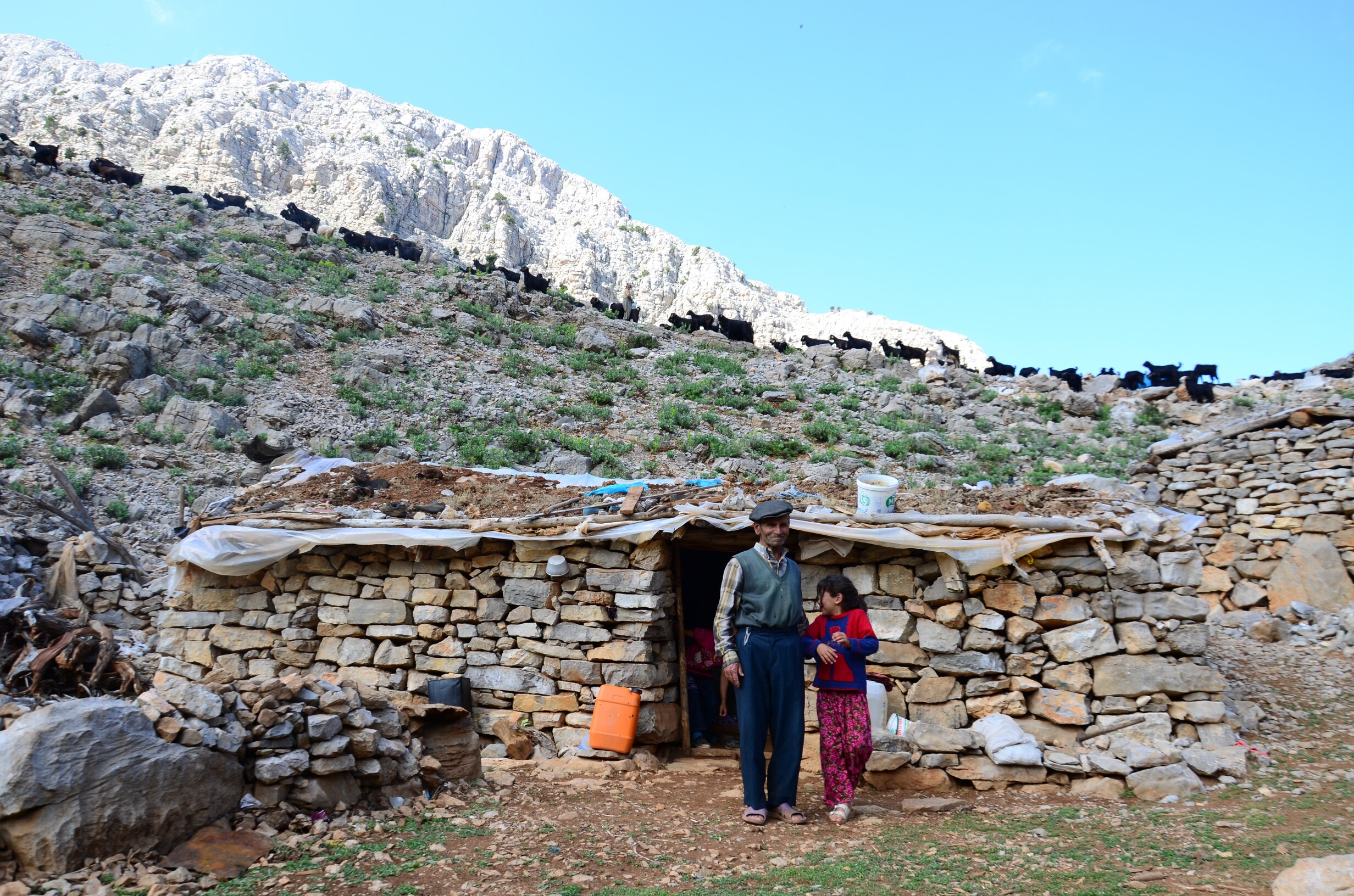 Antalya'da Yörüklerin Yayla Serüvenleri Başladı (4)