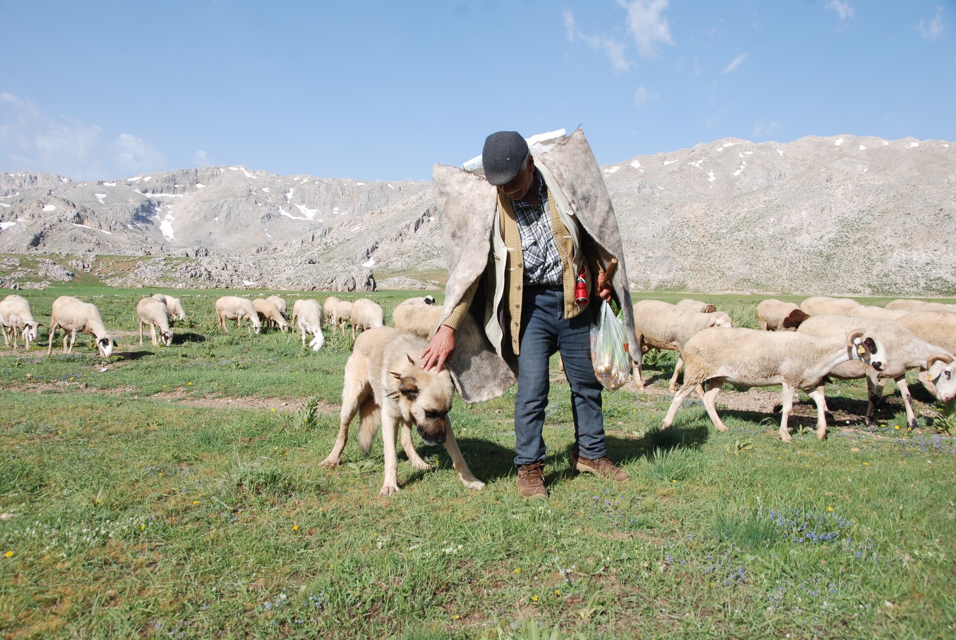 Antalya'da Yörüklerin Yayla Serüvenleri Başladı (6)