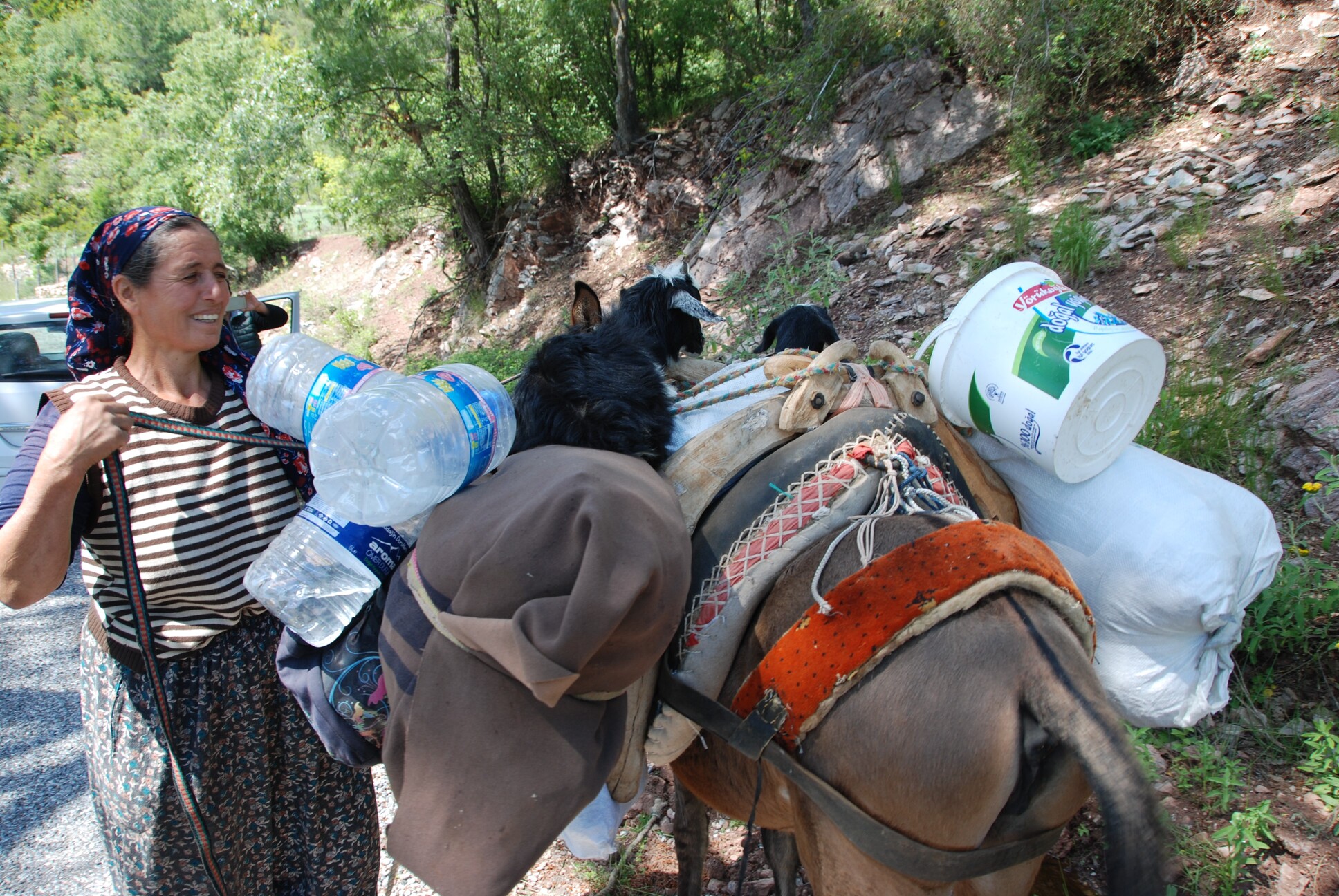 Antalya'da Yörüklerin Yayla Serüvenleri Başladı (7)