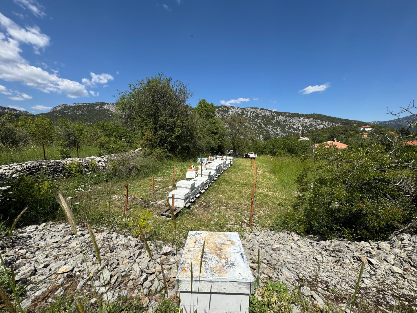 Antalya'daki Ayılara Elektrikli Önlem (4) (Large)