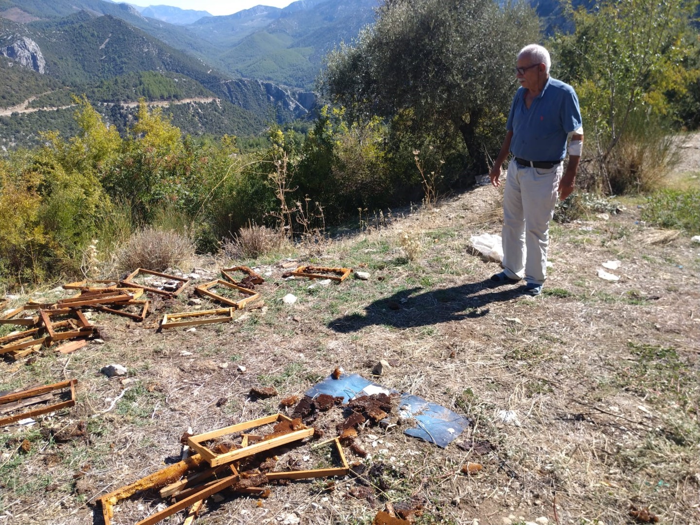 Antalya'daki Ayılara Elektrikli Önlem (5) (Large)