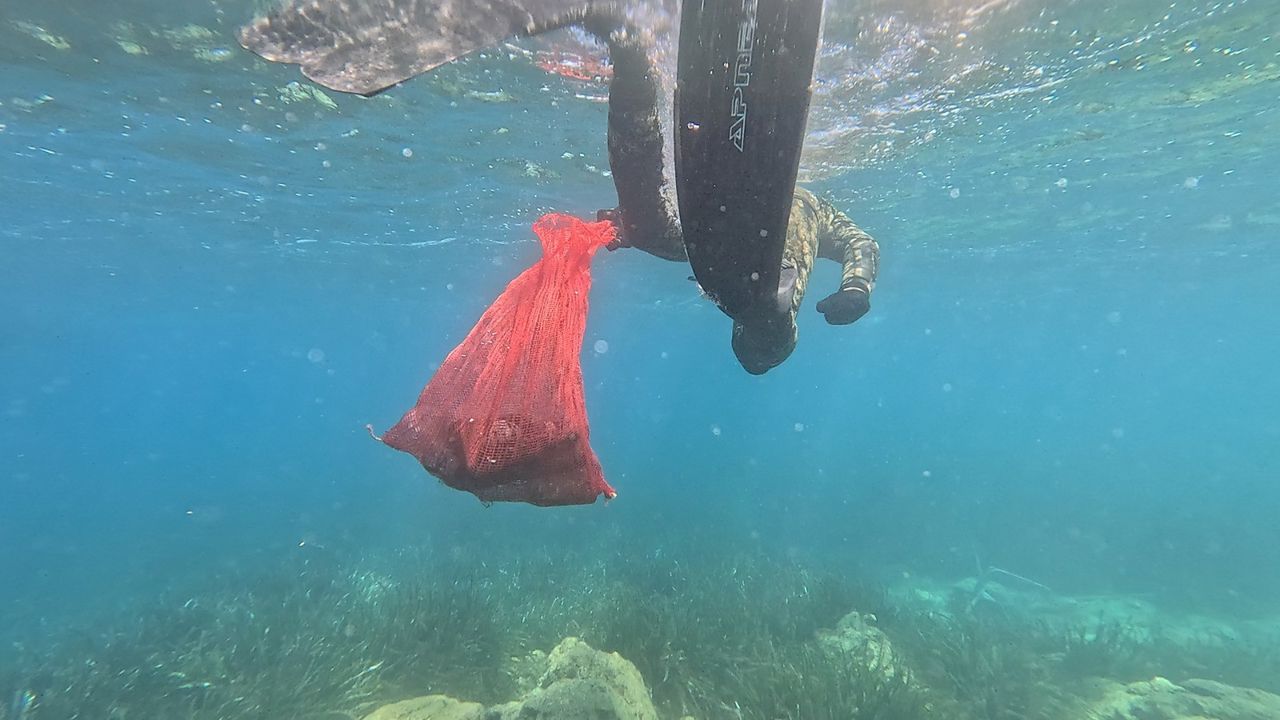 Bodrumda Deniz Dibi Temizlendi (1)